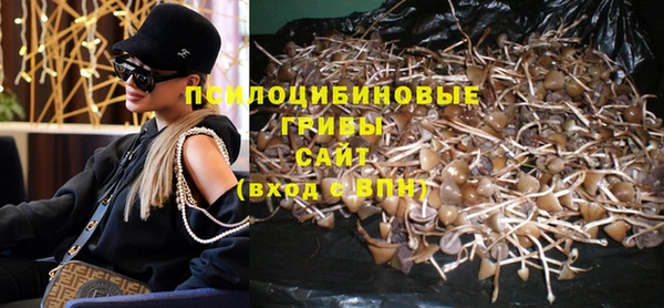 прущие грибы Арсеньев