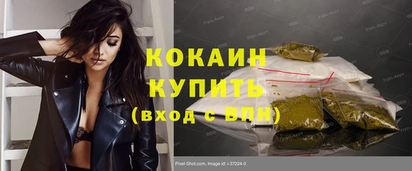 прущие грибы Арсеньев