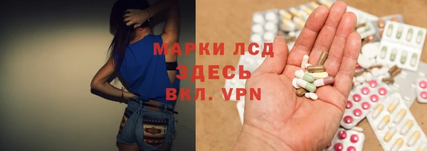 прущие грибы Арсеньев