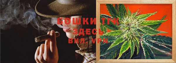 прущие грибы Арсеньев